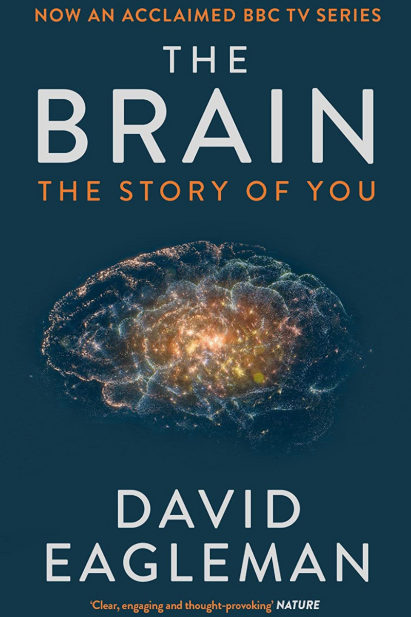 The Brain: The Story of You